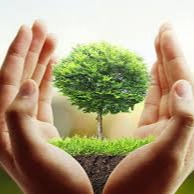 Mobitgreen