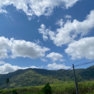 levuyenoanh