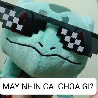 vuduongphat