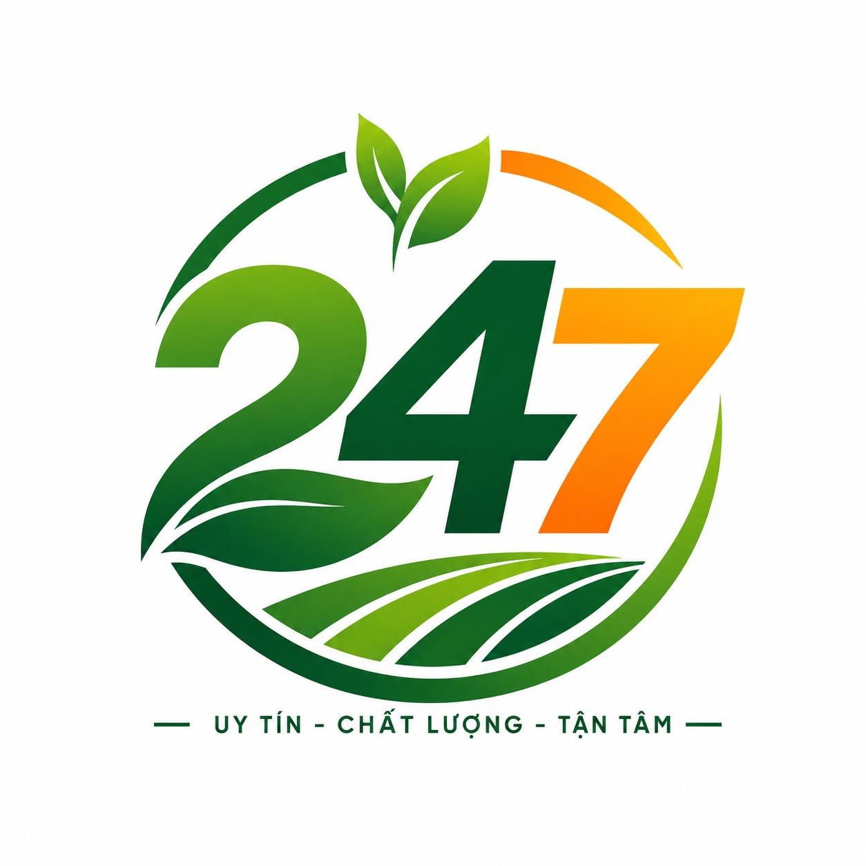 BVTV 247