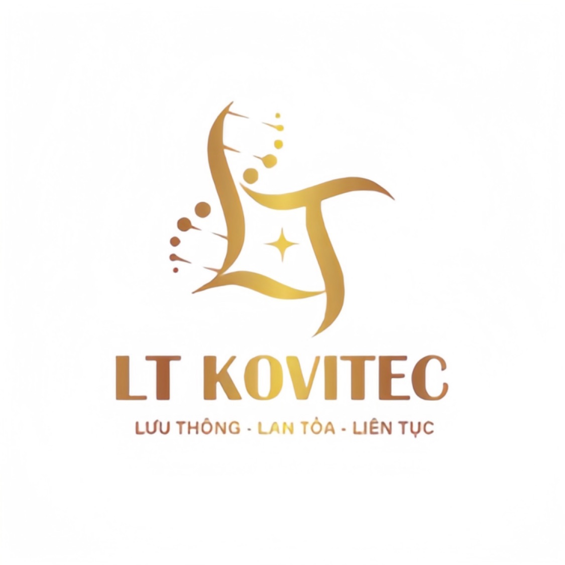LT KOVITEC STORE