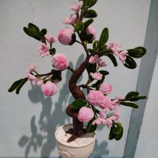 mymynguyen137
