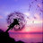 quynh.huynh_9x