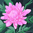 ixzoh_up_k
