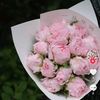 miuthienbinh123