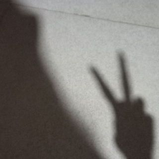 nnmt2_
