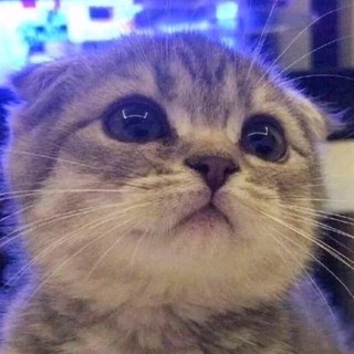 __nguyenvi