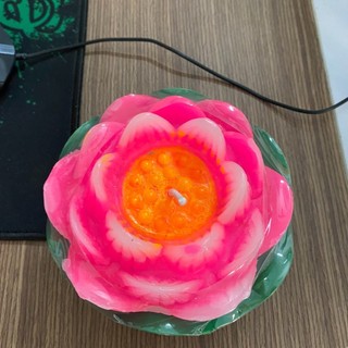 mydung4259163