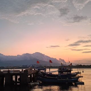 thao_bt