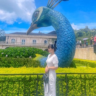thaonganguyet