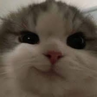 camapcon_