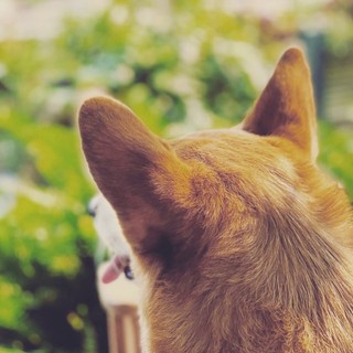 hannahpham050485