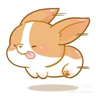 nguyen_thao_6.5