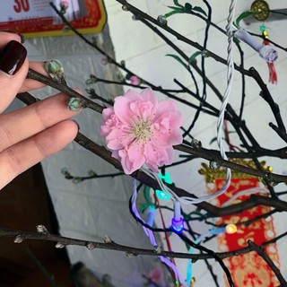 nhanzin_00