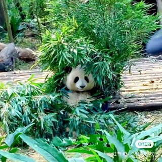 thuyduyen2951994