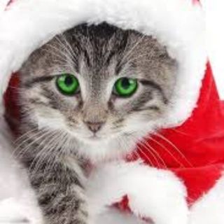 vinh_75