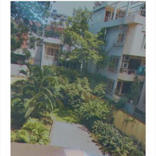 hyen_29
