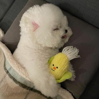 _huong.li_
