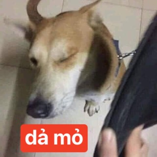 anhbobom0000