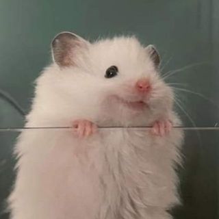 tinhhiieenn