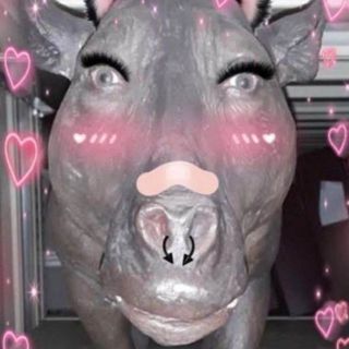 hanterpet