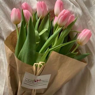 tiemlennie_h