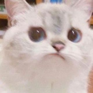 nhtvsttvm