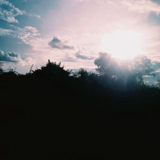 pp27270808