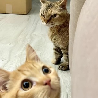 nhatanhng_