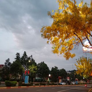 thedang0706