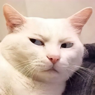 khnhngcnguynhong696