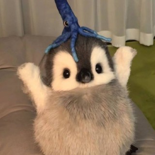 zjxwwpsstw