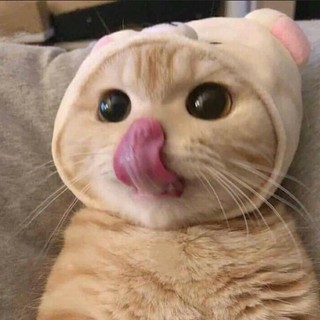 toduy2k