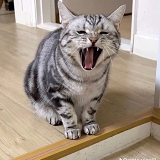 wuminyu77