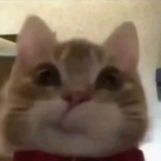 siiu_1702