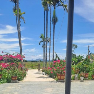 hoang_ha_st
