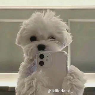 anngocc_88