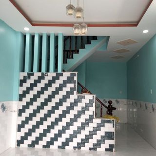 trnhnh446