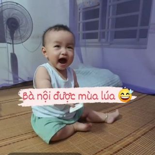 ynguyen0708