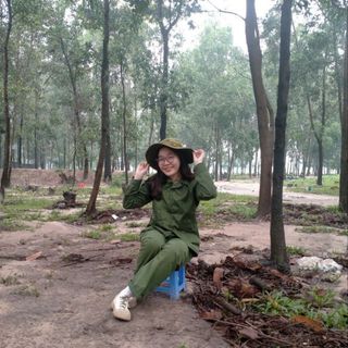 vydangphuong876