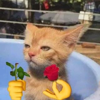 15.nguynngthylinh98