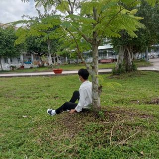 nghi260120