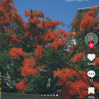thanhtri3003