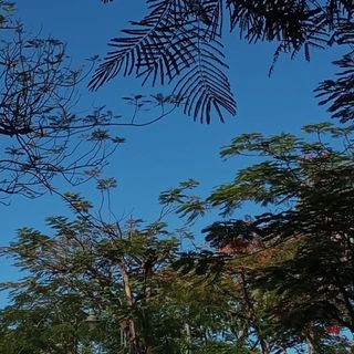 monn_124