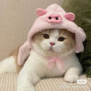 hong_ngan1508