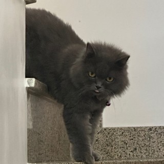 minh_anh.cute