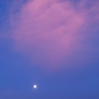 lin_pdsg