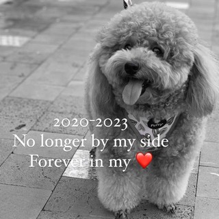 huong_pham80