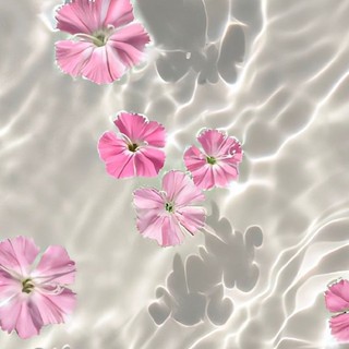 mydung_145