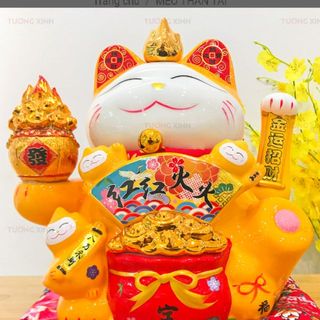 thanhnguyendinh310